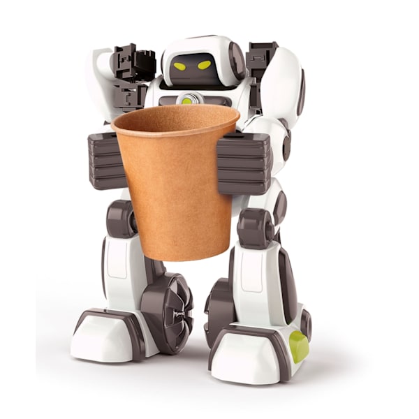 Clem. Padle The Ai Robot