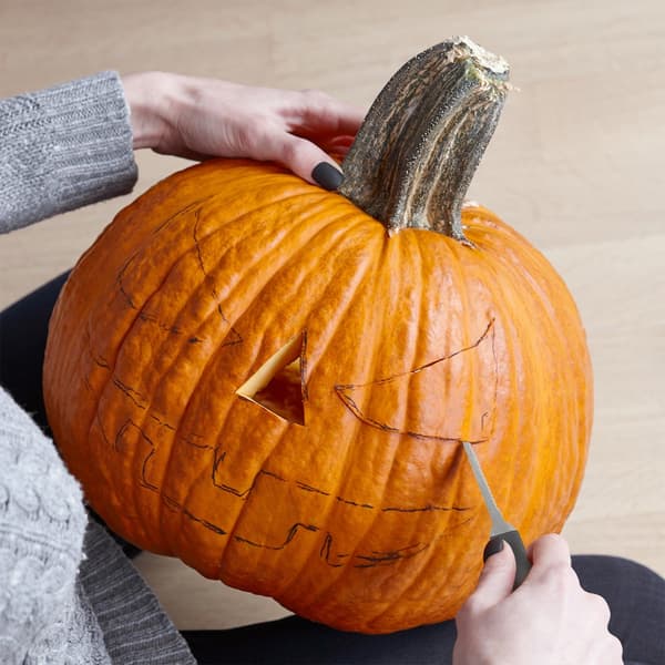 Frukt- och grönsaksstenare, pumpa, 4 st.