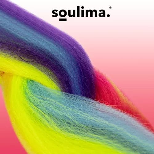 Syntetisk hår regnbuefletninger Soulima 23571