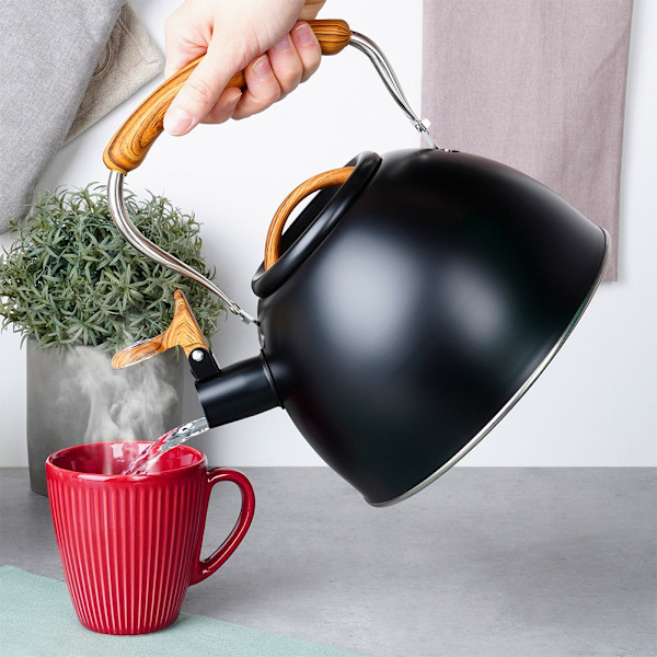 Vattenkokare med visselpipa, stål, svart, 2,5 l