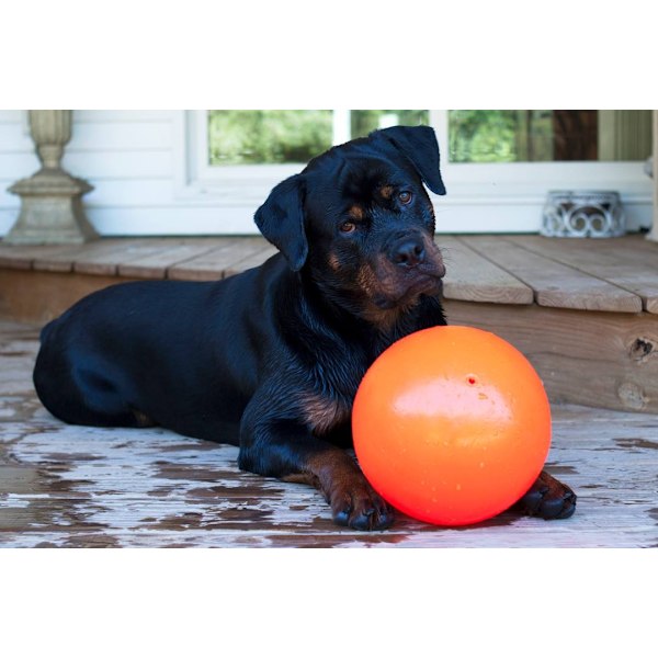 Jolly Ball Bounce-n Play 15 cm Orange (Vaniljdoft)