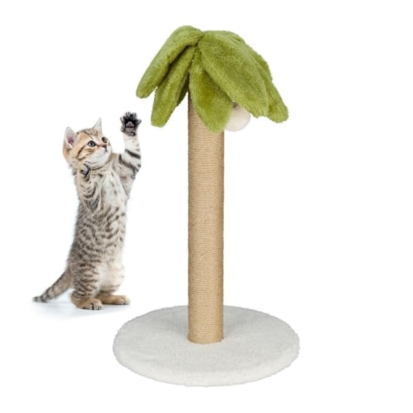 Klösbräda palm