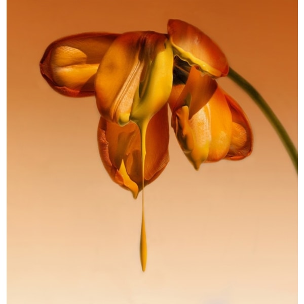 Tears Of A Flower - 21x30 cm