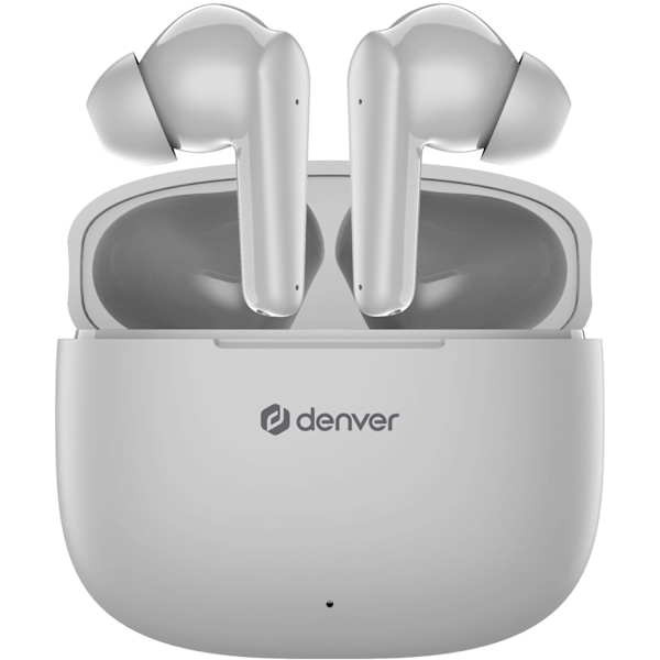 TWE-48GR True wireless Bluetooth hörlur med laddetui
