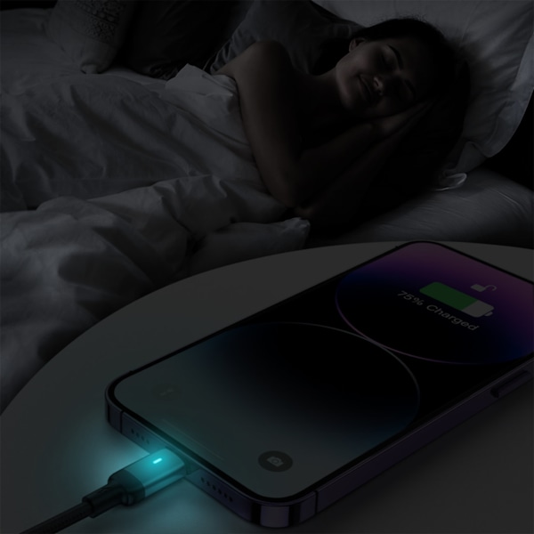 Kaapeli iPhonelle USB-C - Lightning A10 Series 20W 1,2m musta