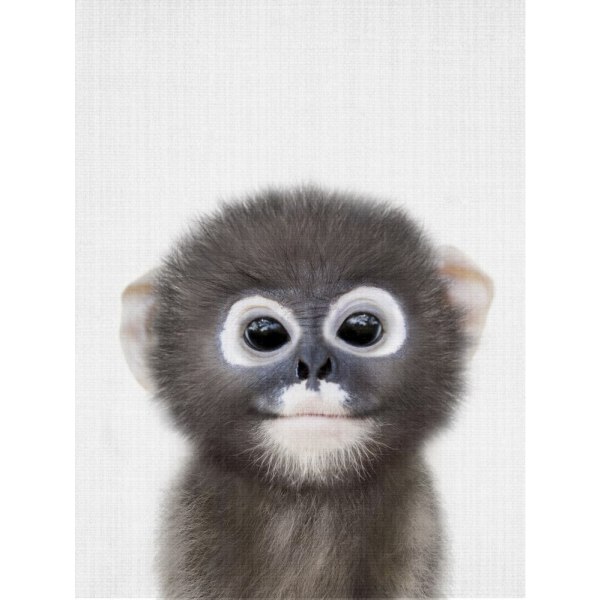 Peekaboo Baby Monkey - 70x100 cm