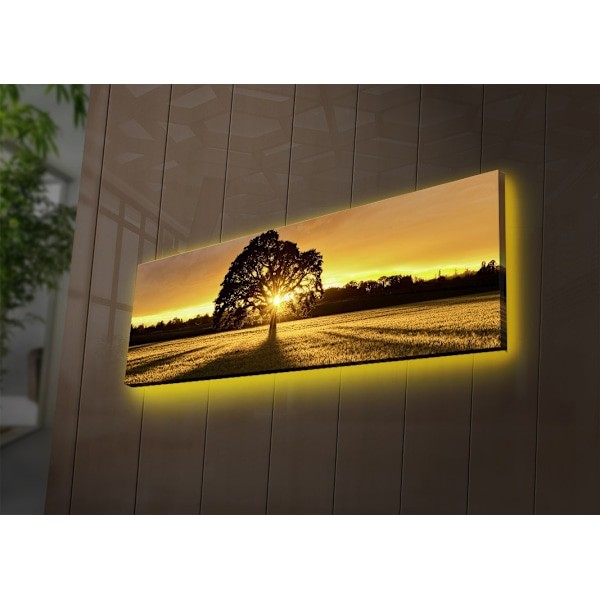 Dekorativ LED-belyst canvasmålning 3090DACT-68