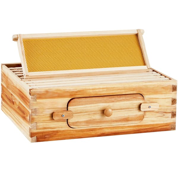 Langstroth bikupa medium låda kit, 10 ramar, bifönster
