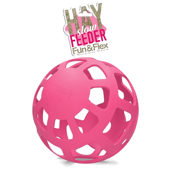 Hay Slowfeeder fun and flex 22 cm rosa boll