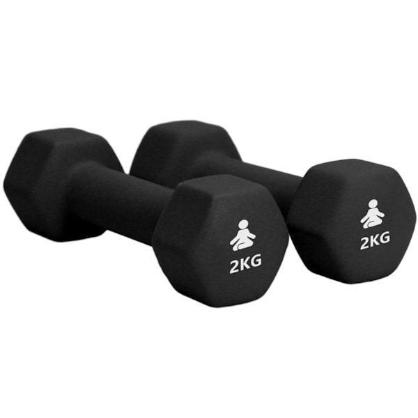 Ensiluokkaiset käsipainot 2 x 2 kg