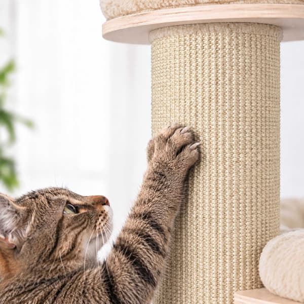 Kradsetræ til katte med 3 polstrede platforme, 187 cm – Beige, Sisalstolpe