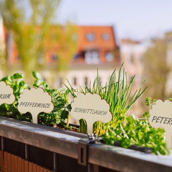 Plantepropper i træ - 100 stk