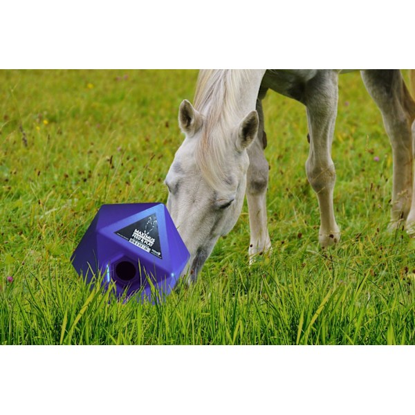 Maximus Feed &amp; Spil Pink