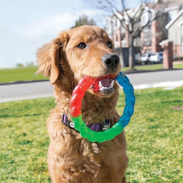 KONG Twitz Ring Sm