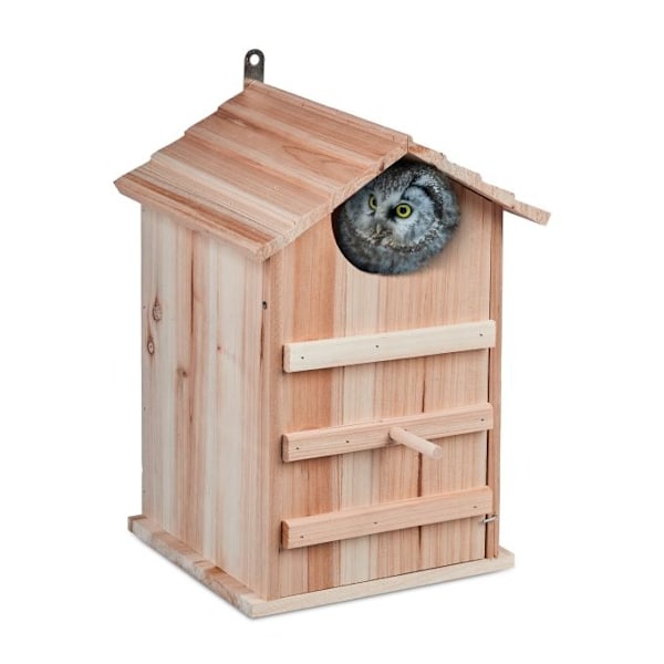 Owls Nest Box Wood