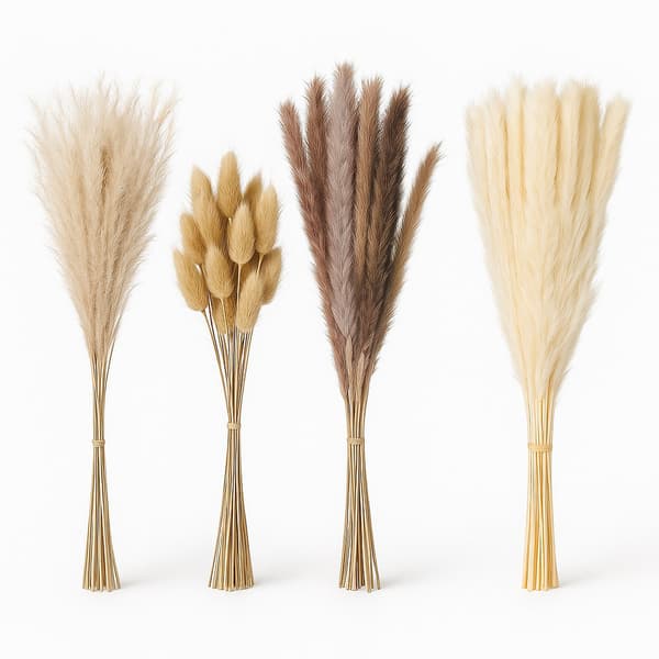Kuivattu Pampas-ruohosetti, 144 osaa – Boho Decor