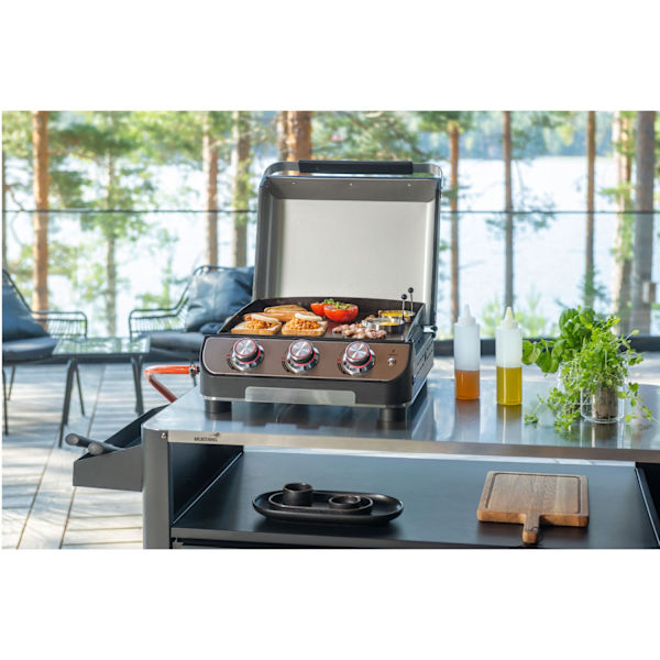 Gasgrill plade 3