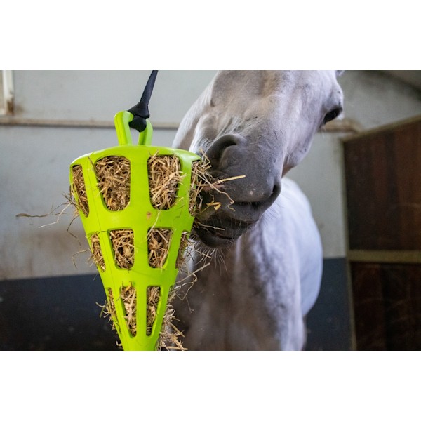 Hay Slowfeeder fun and flex 22 cm Grön morot