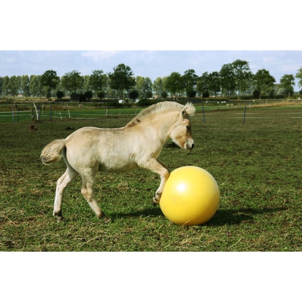 Maximus Power Play Ball 100cm