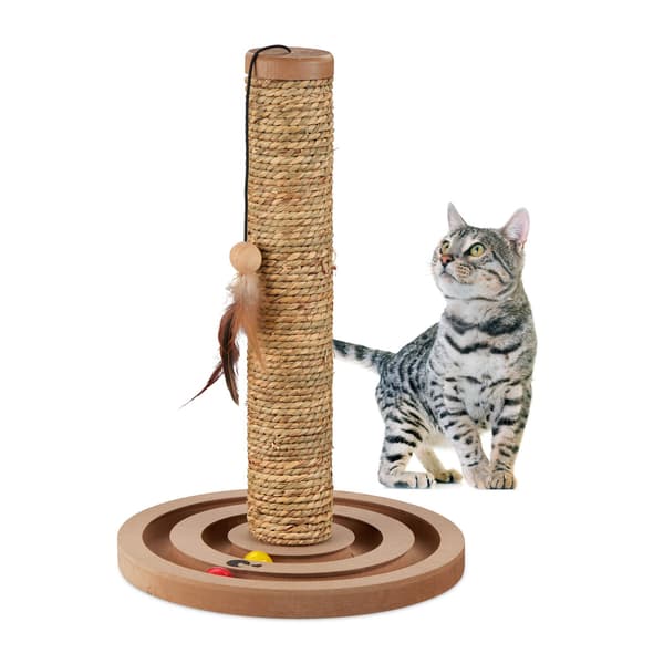 Kattskrapstolpe med leksaksrep och bräda