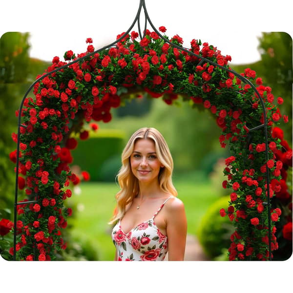 Have pergola bue 265 cm Plonos PL-991
