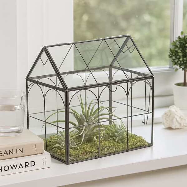 Glashusformat terrarium för krukväxter
