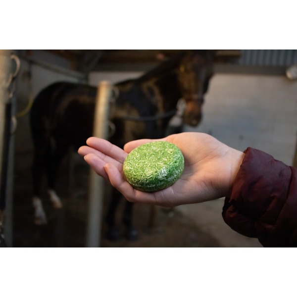 Utmärkt Horse Hi Gloss Shampoo Bar Apple 60 g