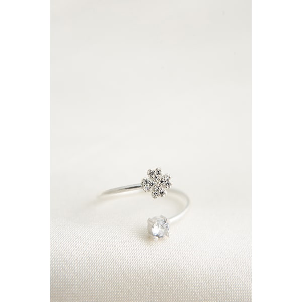 Silverring FA182547
