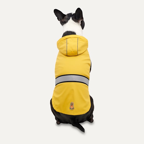 Gooeez Reflekterande Hooded Raincoat XS Gul/Grå