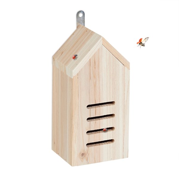 Pigans moderna hus