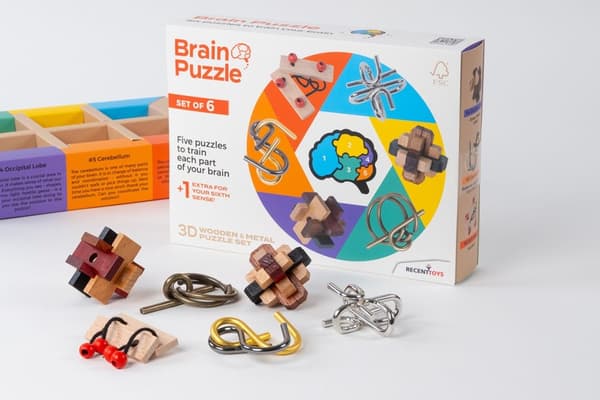 Viimeaikaiset lelut Brainteaser Brain Puzzle Set