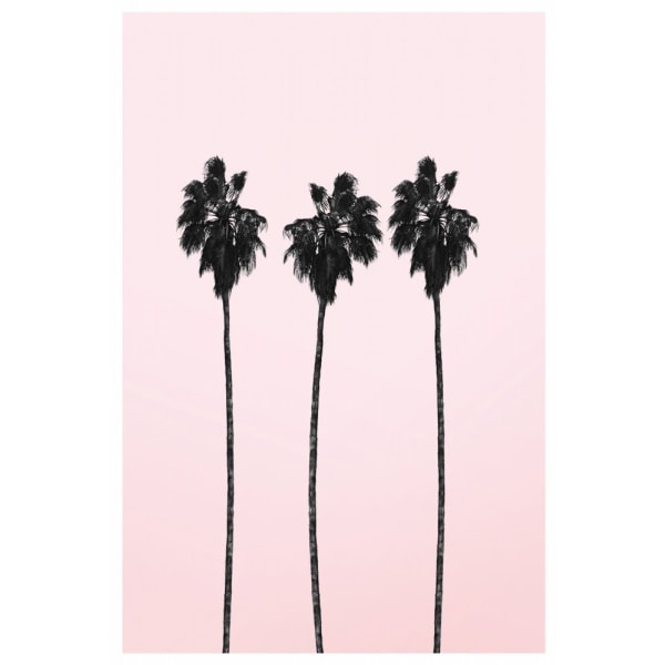 Pinky Palms - 21x30 cm
