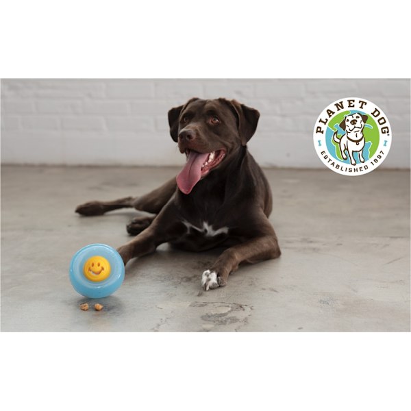 Outward Hound Orbee-Tuff Nooks-Face Gul Planet Dog