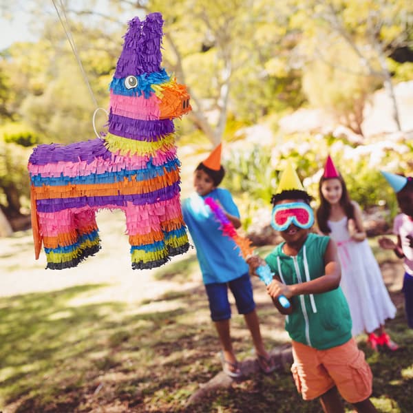 Pinata æsel