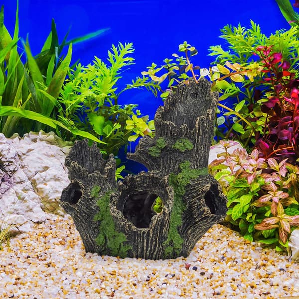 Akvarium dekoration trädstam