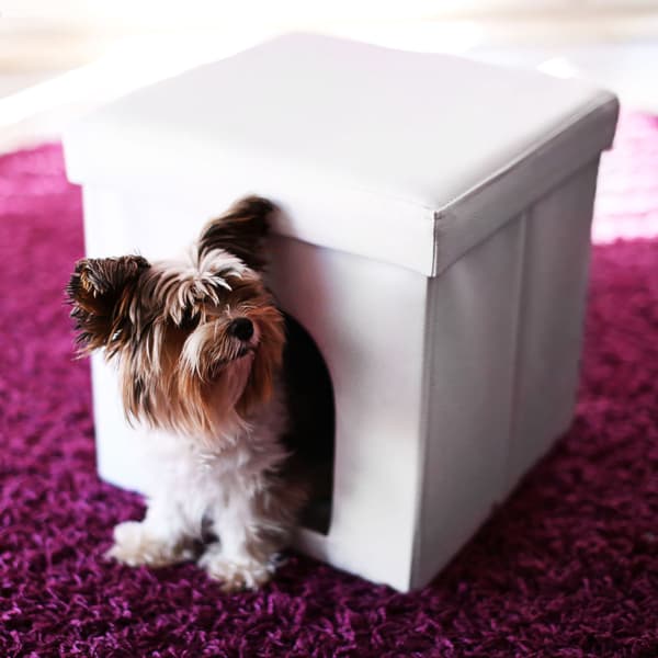 Taburet til hundebokse