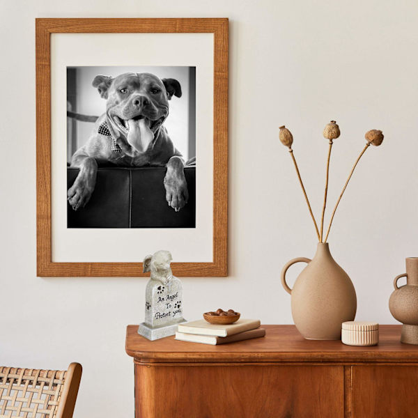 Gravdekoration til hunde