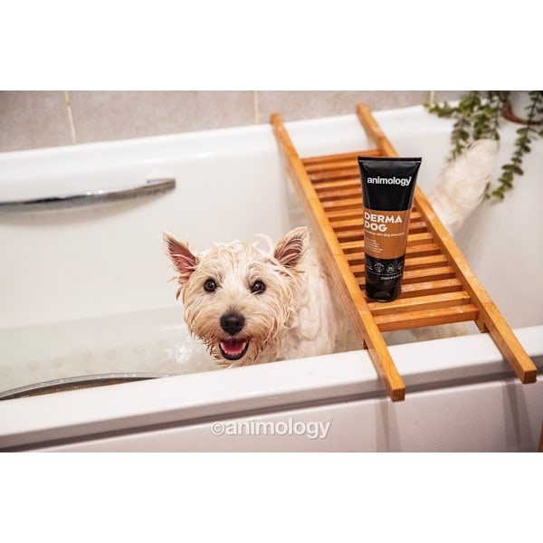 Animology Derma koiran shampoo
