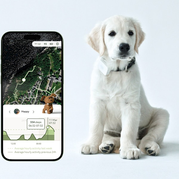 Lildog 2 GPS Tracker til hunde