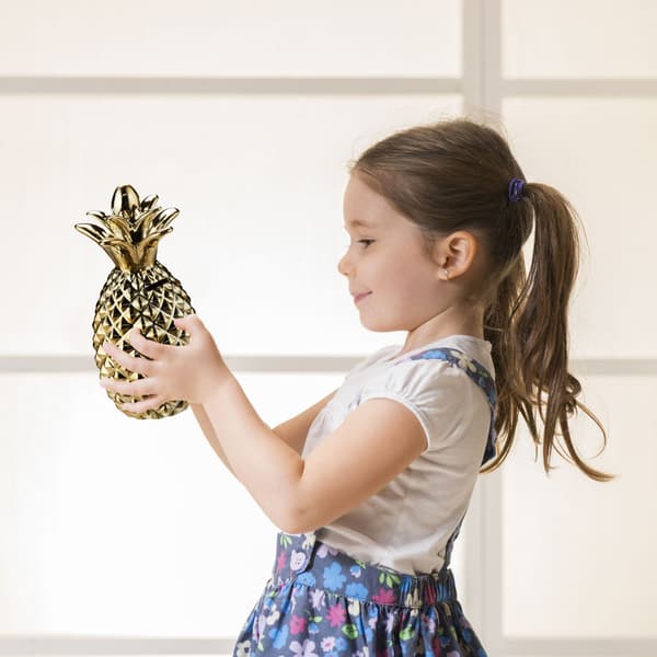 Spargris ananas