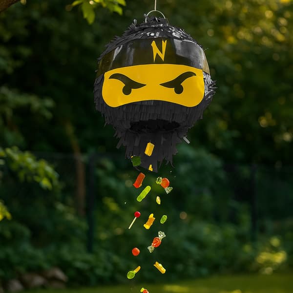 Ninja Piñata Set med fladdermus och mask för barnkalas