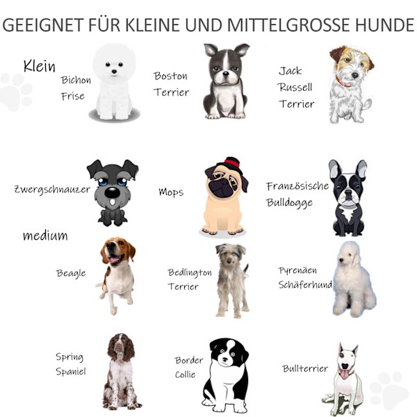 Dörr Säkerhet Grind Barriär För Hundar Skyddsport Hund Gate Säkerhetsdörr Dubbelriktad Vikbar Furu Metall Svart 432X36X70Cm