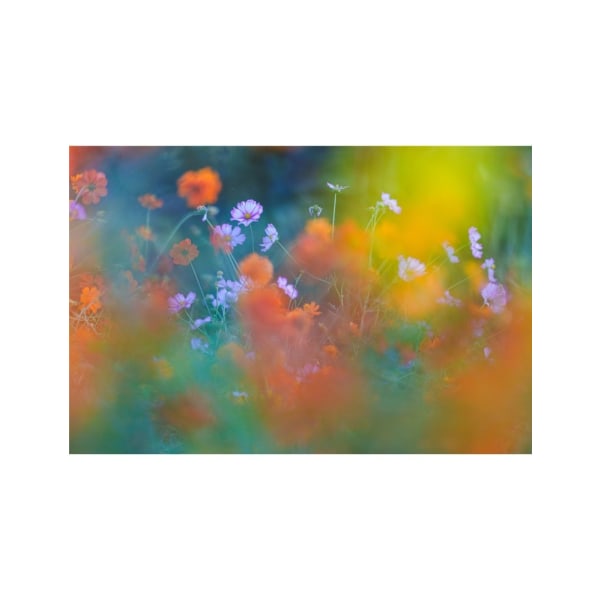 Värikäs puutarha - 21x30 cm
