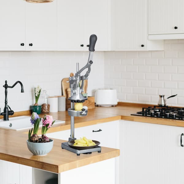 Juicer manuel rustfrit stål