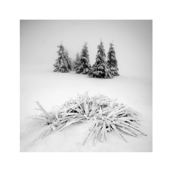 Vinterlandskab - 70x100 cm