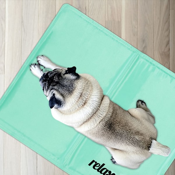 Kylmatta för hund