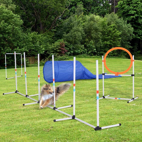 5 St. Hund Agility Set Training För Husdjur Hund Training Set Med Hundtunnel Inkluderar Väska Lätt Att Bära Polyester Plast Orange