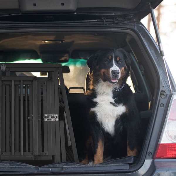 Hundeboks Bil med skillevæg