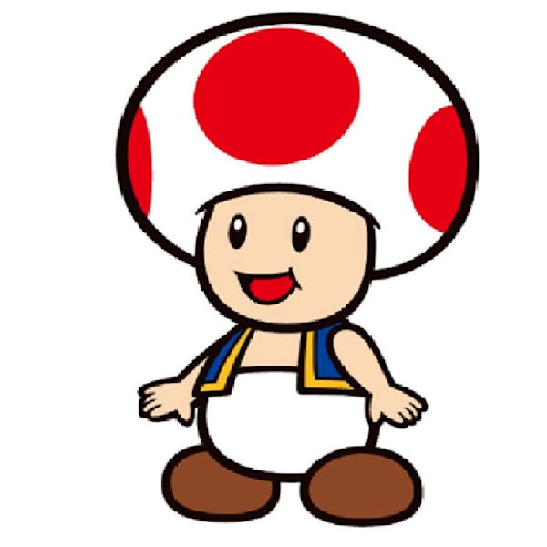 Super Mario Bros Toad 3D-kudde