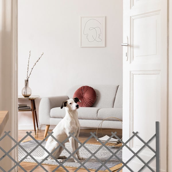 Udtrækkeligt espalier grå